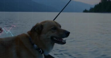 Bir zamanlar esneyen, orta kahverengimsi bir köpek sürüklenen teknede soluk soluğa kalır, karanlık göle karşı olta izlerdi. Doğa, vahşi yaşam, sükunet, macera, rahatlık, siluet, manzara