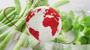 Başlangıçta, kırmızı 3 boyutlu küre ortaya çıkıyor, yörünge temizleniyor, ürünleri göstermek için doğuya doğru dönüyor. Küresel, haritacılık, animasyon, teknoloji, tarım, sürdürülebilirlik, yenilik