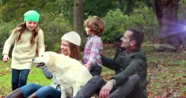 Dalgalanan yapraklar, aile köpeğini okşamaya ve sonbahar yaşamı için yaprakları serpmeye teşvik eder. Aile bağları, açık hava aktiviteleri, açık sözlü, açık sözlü, doğal, neşeli, oyuncu.