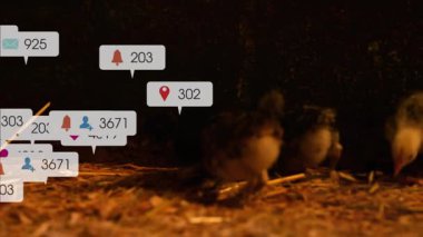 Yavrular yumurtlayan sosyal uyarı simgelerini gagaladıklarında ve artan sayılar aşırı yüklemeyi gösterdiğinde. Kuş, çiftlik, dijital, rustik, besleme, doğa, iletişim