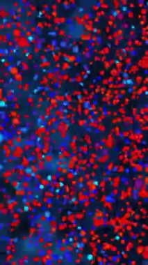 Koyu mavi arka planda renkli DNA iplikçiklerinin parlayan animasyonu. Genetik, biyoloji, bilim, teknoloji, moleküler, dijital