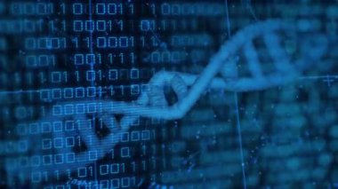 Başlangıçta, üç boyutlu DNA sarmalı oluşuyor, ikili akış sırasında dönüyor, düğümler titreşiyor, ağı görselleştiriyor. Futuristik, teknoloji, animasyon, veri, bilim, dijital, ağ