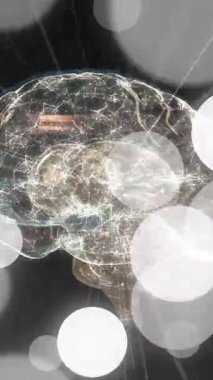 Soyut ışık çemberleri üzerinde parlayan bağlantıları olan dijital beyin animasyonu. Yapay zeka, sinirsel ağ, teknoloji, yenilik, fütüristik, veri