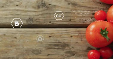 El simgesi sol başlangıç kodundan kayıyor. Domates kümesinin büyüdüğünü ve simgelerin veri oluşturduğunu gösteriyor. Organik, sürdürülebilirlik, yenilik, veri görselleştirme, çevre dostu, tazelik, teknoloji