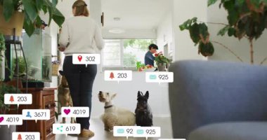 Kadın köpekleri besliyor, çanak veriyor, köpekler sosyal medya ikonları olarak yerleşiyor, çoğalıyor, yemek yiyor. Yurt içi, petcare, teknoloji, modern, yaşam tarzı, sağlık, etkileşim