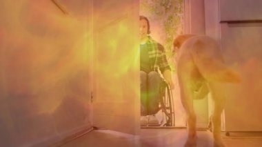 Tekerlekli sandalyedeki adam, köpeğini selamlarken kuyruk açıp kapıyı sallıyor. Özel, arkadaşlık, ulaşılabilirlik, samimiyet, samimiyet, açık hava, sadakat.