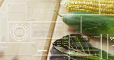 Ekran ölçümlerini üst üste koyarken çapraz vejetaryen hattını gösteren bir kamera var. Sebzeler, tazelik, çiftlik, hasat, ürün, organik, sağlık