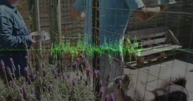 Kadın, lavanta çitlerine mama kabı yerleştiriyor. Erkekler evcil hayvan bakımı yaparken köpek yiyor. Evcil hayvan, arkadaşlık, açık hava, eğlence, uyum, pastoral, kırsal