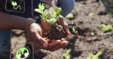 Bahçıvanın diz çöküp fideleri kaldırması ve yüzen ekolojik veri ikonlarının sağlığı izlemesine neden oluyor. Sürdürülebilirlik, yenilik, ekoloji, büyüme, teknoloji, çevre, tarım