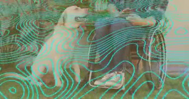 Tekerlekli sandalyedeki adam Labrador 'u arıyor. Animasyon kalplerle evcil hayvan terapisi için köpeğe kucak açıyor. Şefkat, hareketlilik, ulaşılabilirlik, arkadaşlık, açık hava, kibarlık, gençleşme