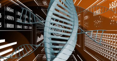 Sanal koridor içinde veri panelleri ve çizelgeleriyle kıvrılan merkezi DNA çift sarmalını gösteriyor. Bilimsel, geleceksel, veri görselleştirme, biyomedikal, teknoloji, yenilik, moleküler