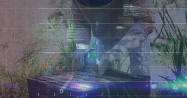 Çiftlik verileri kovan sağlığı için kaydırma yaparken kıdemli arı yetiştiricisi kovan kapağını denetliyor. Apier, conservation, nature, data görselleştirme, sürdürülebilirlik, tarım, açık hava