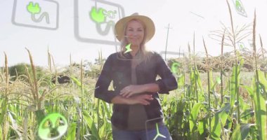 Olgun çiftçi mısır tarlasında duruyor ve etrafında yüzen sürdürülebilir enerji ikonlarını fark ediyor. Tarım, yenilenebilir, çevre dostu, yenilik, güçlendirme, açık hava, çevrecilik