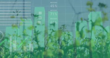 Kapalı planda açan kır çiçekleri çubukları fırlatıyor sonra da yenilenebilir enerji artışını gösteren türbinleri ortaya çıkarıyor. Doğa, sürdürülebilirlik, veri görselleştirme, temiz enerji, ekolojik yenilik, kırsal