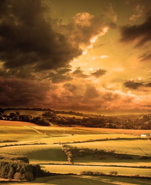 Düz dizayn edilmiş tarlalar altın günbatımının altında parlıyordu, çitlerin üzerinde uzak ahır vardı. Kırsal, peyzaj, tarım, günbatımı, doğa, tarım, manzara