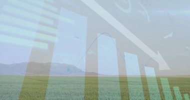 Ekin alanı üzerinde çubuk çizelgeleri gösteriliyor, mavi çizgi grafiği, aşağı doğru ok ve sayısal etiketler ile. Tarım, veri analizi, görselleştirme, kırsal arazi, bilgi grafiği, doğal manzara, dijital arayüz