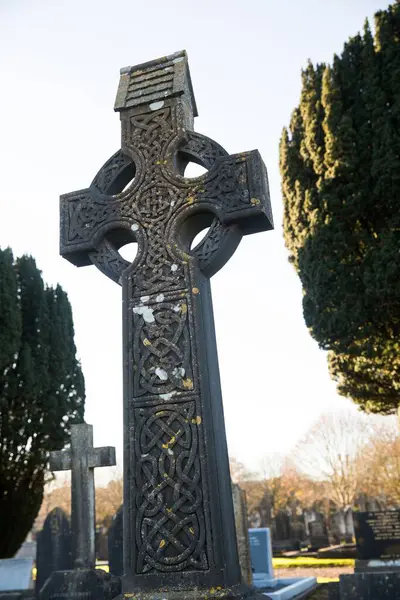 Düşük açılı mezarlık manzarası gökyüzüne karşı ağaçlarla çevrili