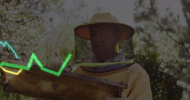 Arı kovanında bal peteği çerçevesi sunan kıdemli arı yetiştiricisi, titreşen arıcılık veri grafiklerini ortaya çıkarıyor. Apiary, apikulture, arı araçları, bilimsel, araştırma, veri analizi, tarım