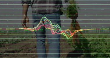 Erkek havuç hasadı dalgalanan ızgara dalgalanması sırasında soldan ve yürüme alanından giriyor. Tarım, hasat, verimlilik, kırsal, organik, doğa, sürdürülebilirlik