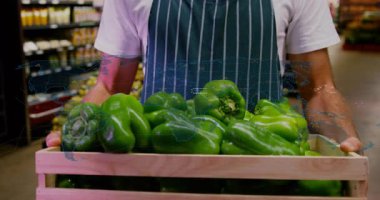 Yiyecek dükkanında elinde biber kasası olan tezgahtar, dünya haritasını eğik bir şekilde gösteriyor. Üretim, market, perakende, teftiş, dağıtım, taze, sağlıklı