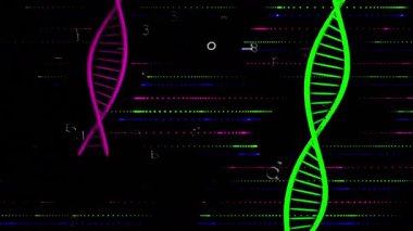 Başlangıçta mor renkli yeşil DNA sarmalları sürüklenen harfler devre kilidinde belirir ve verileri emniyete alır. Futuristik, teknoloji, siber güvenlik, dijital, soyut, yenilik, şifreleme