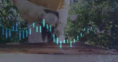 Kıdemli arı yetiştiricisi sigara içen körük pompalarken kovan sakinleşirken finans şamdanı animasyonu örtüyor. Apiary, arı yetiştiricisi, arı yetiştiricisi, böcek kontrol, açık hava, doğa, tarım