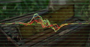 Kıdemli adam kivi üzerinde bıçak taşıyor, ahşap tahtayı dilimliyor. Dalgalar yemek pişirmede kesikleri yansıtıyor. Doğa, aşçılık, kırsal, tazelik, sağlıklı, manüel, organik
