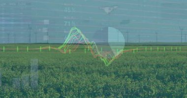 Dalga biçimi esneme çizgileri% etiket salınımları kayan grafikler enerji verileri sunan titreşimler. Soyut, veri, analiz, görselleştirme, dijital, yenilik, yenilenebilir