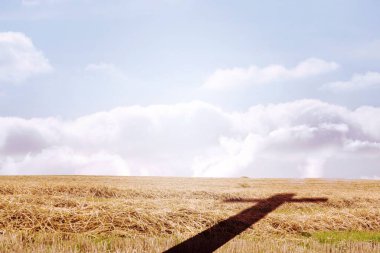 Flat design field is stretching under cloudy sky, showing cross-shaped shadow over golden stubble. Rural, landscape, nature, tranquility, minimalism, serenity, openness