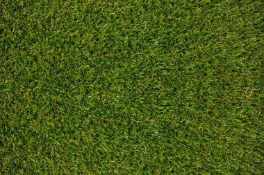 Yüksek açılı çimenlik alanın tam çerçeve görüntüsü