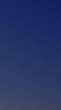 Elektrik direkleri üzerinde veri işleme animasyonu. Güç, ekoloji, bilgisayar ve dijital arayüz kavramı dijital olarak oluşturulmuş video.