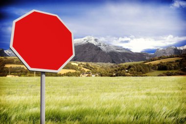 Düz dizayn, çayırda evleri ve tepeleri olan metal direkte boş kırmızı sekizgen tabela gösteriyor. Canlı, manzaralı, manzaralı, kırsal, doğal, sakin, canlı