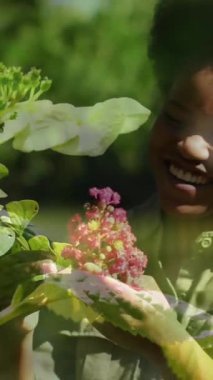 Animation of plants over african american woman working in garden. Gardening, lifestyle and nature concept digitally generated video.