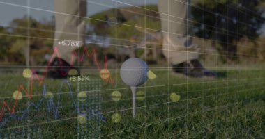 Standing golfer in golf attire next to ball on tee box, with financial data overlay. Sports, analytics, performance, outdoor, modern, visualization, leisure
