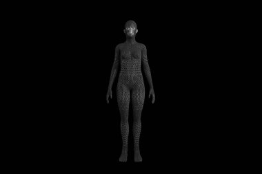 Kadınların üç boyutlu çizimi