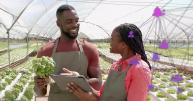 Hidroponik serada çalışanlar, fesleğen sağlığını izlerken tablet animasyon çizelgelerini aşırıyorlar. Tarım, yenilik, teknoloji, otomasyon, sürdürülebilirlik, verimlilik, takım çalışması