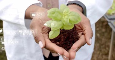 Laboratuvar önlüklüleri yeşil fideleri tutarken ortaya çıkan sosyal nişan ikonlarının zirveye ulaşması ve soluklaşması. Botanik, büyüme, yenilik, sürdürülebilirlik, teknoloji, araştırma, ekoloji