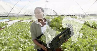 Serada sandık tutan kadın işçi küresel marul ticaretini gösteren animasyon dünyasını çalıştırıyor. Sürdürülebilirlik, tarım, yenilik, çevre dostu, küresel, gıda güvenliği, sağlıklı