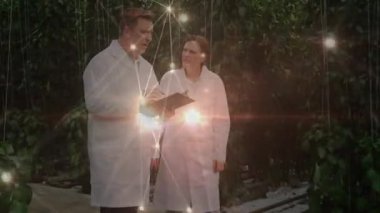 Bilim adamları notları inceliyor ve serada yürüyor. Ağ üzerinde araştırma yapmak için sarmaşıkları inceliyorlar. Botanikçiler, araştırma, yenilik, çevre, keşif, işbirliği, çeşitlilik