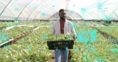 Marul kasası taşıyan bir çiftçi serada yürüyor ve ekin gözlemlemek için deniz mavisi simgelerini aktifleştiriyor. Tarım, teknoloji, hassas tarım, hidrofonik, yenilik, sürdürülebilirlik, bağlantı