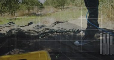 Tarım işçisi direği kaldırıyor, dalları sallıyor, sarı sandığın üstündeki ağda zeytin hasat ediyor. Meyve bahçesi, hasat, tarım, araçlar, kırsal, manzara, iş gücü