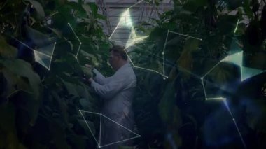 Serada ayrılan bilim adamları, hologram değişen veri küresi oluştururken yaprakları inceliyor. Botanik, yenilik, fütüristik, araştırma, bağlantı, sürdürülebilirlik, görselleştirme