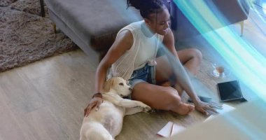 Dokunaklı defter, grafik tasarımcı evcil köpek ve mavi ışık girdabı olarak tableti tıklatıyor. Konforlu, evcil, farkındalık, rahatlama, teknoloji, sıcak, huzur