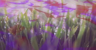 Açılış sahnesi, çimen bıçaklarının soyut katmanlar için mor ve kırmızı çokgenlerin sürüklenmesini tetikliyor. Doğa, soyut, atmosfer, dijital sanat, dinginlik, aydınlanma, minimalizm