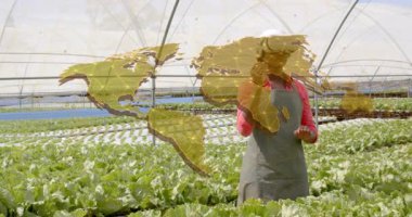 Serada marul sıralarında VR kulaklık takan bir kadın haritaya dokunarak ağ düğümlerini genişletiyor. Teknoloji, tarım, yenilik, sanal gerçeklik, sürdürülebilir, dijital, gelecekçi