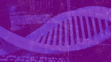 Başlangıçta 3D DNA sarmalı, kod veri ağını çizerken yana doğru döner ve kayar. Fütüristik, teknolojik, soyut, dijital, yenilik, bilim, bağlantı