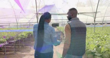 Kadın elinde tuttuğu tablet ile seradaki mahsul sağlığını değerlendirmek için veri örtülerini etkinleştiriyor. Bahçecilik, tarım teknolojisi, sürdürülebilir tarım, çevre, işbirliği, yenilik, modern