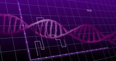 Mor şebeke açılışı 3 boyutlu DNA sarmalları değişen renkleri tarayarak çubuk yüksekliklerini görselleştiriyor. Bilimsel, veri, görselleştirme, fütüristik, analitik, teknoloji, dijital