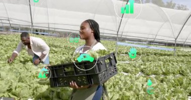 Serada sandık kaldıran tarım işçisi su karbonu verilerini takip eden ikonlar başlatıyor. Tarım, sürdürülebilirlik, kentsel tarım, bahçıvanlık, çevre dostu, büyüme, yenilik