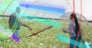 Tarım ekibi serada tablet tıklayarak ekin sağlığını animasyon ölçümleriyle inceliyor. Bahçecilik, yenilik, sürdürülebilirlik, teknoloji, araştırma, kentsel tarım, modern